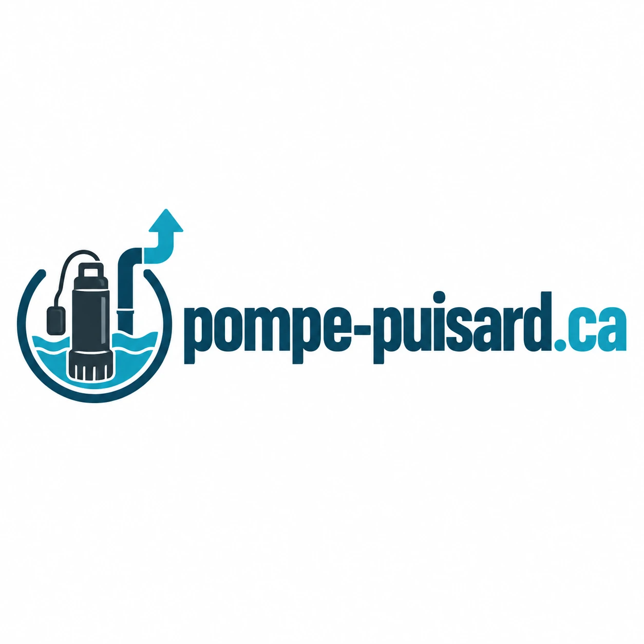 Logo pompe-puisard.ca